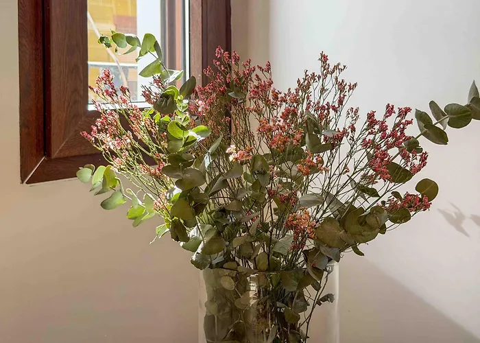 La Casa Del Poeta Estilo En Pleno Centro 阿利坎特